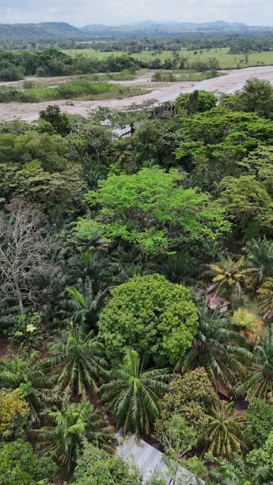 Vista aérea del río